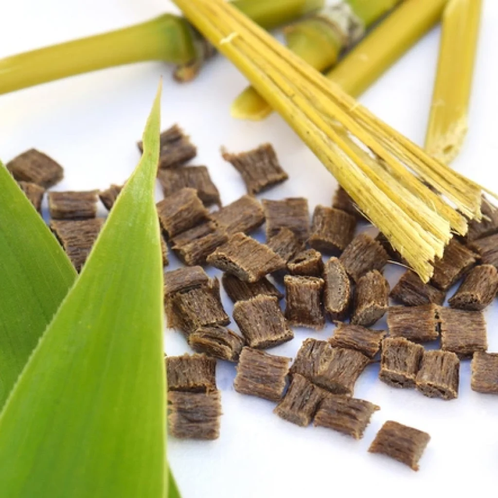 biopolymer2-digitalstock-Adobe-1540X800